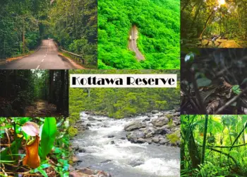 Kottawa Reserve