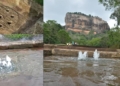 Sigiriya water flowers